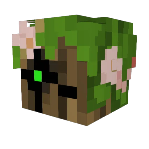 Oakley137 Minecraft avatar head, 3D render