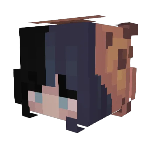 OakleyDoakley Minecraft avatar head, 3D render