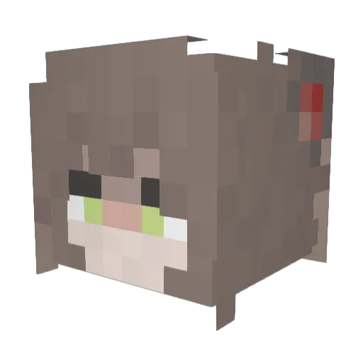 OakleyFleur Minecraft avatar head, 3D render