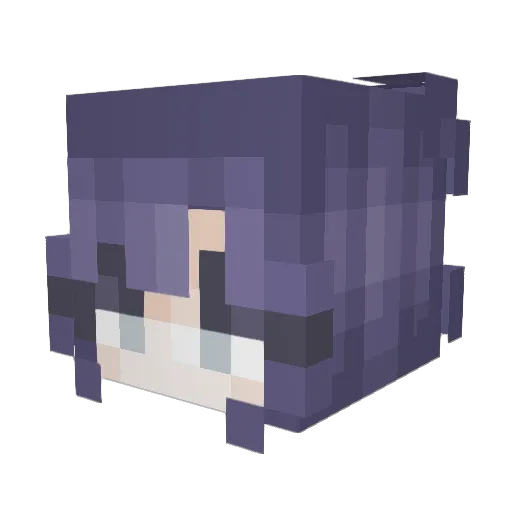 Oakley_X Minecraft avatar head, 3D render