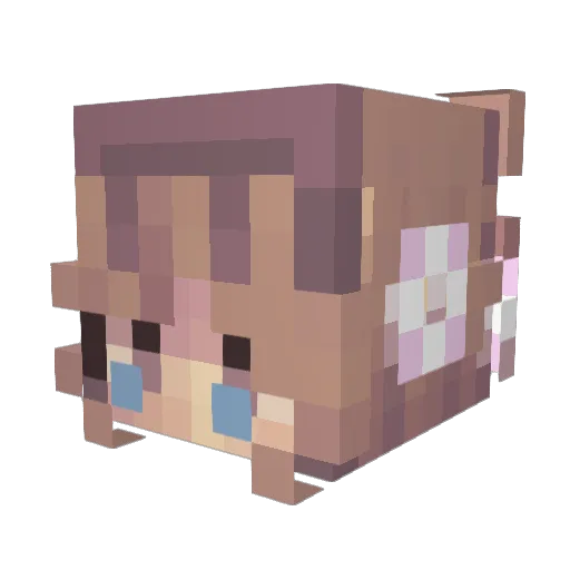 Oaklyn1502 Minecraft avatar head, 3D render