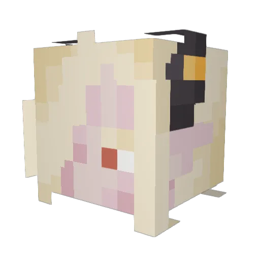 Oakry Minecraft avatar head, 3D render