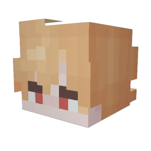Oalsaa Minecraft avatar head, 3D render
