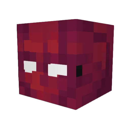 OanSuS Minecraft avatar head, 3D render