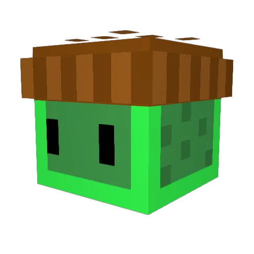 OansKiwi Minecraft avatar head, 3D render