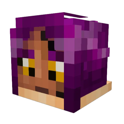 Oasdasdwsd Minecraft avatar head, 3D render