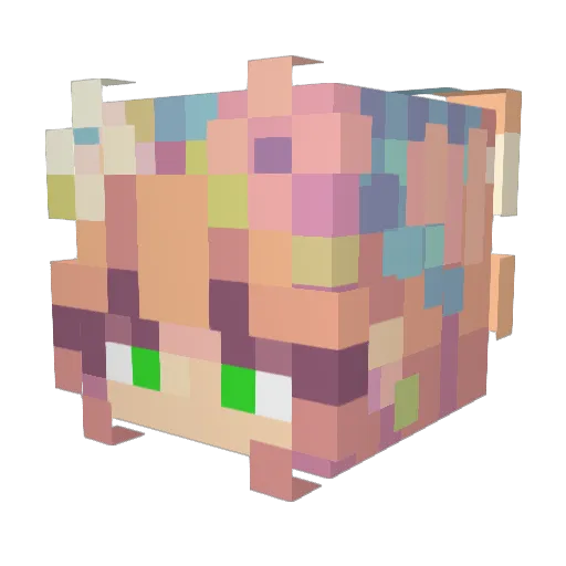 Oasiixx Minecraft avatar head, 3D render