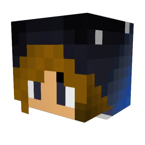 Oasis149 Minecraft avatar head, 3D render