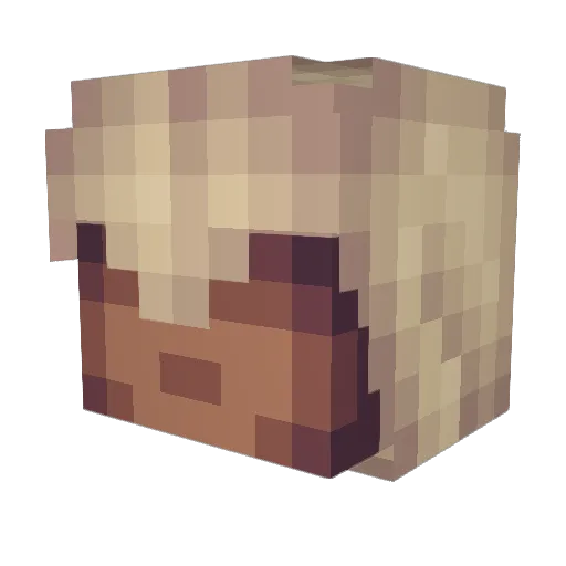 OasisAdventures Minecraft avatar head, 3D render