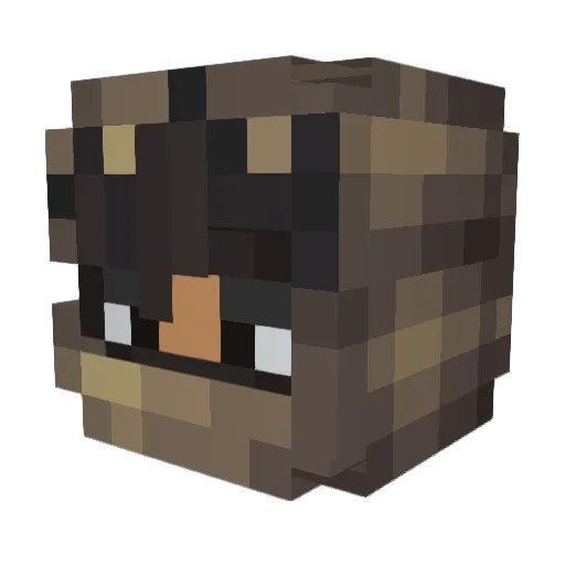 OasisNZ Minecraft avatar head, 3D render