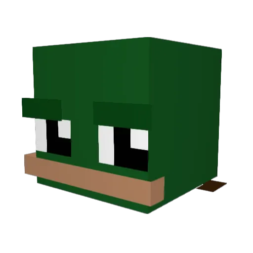 Oasis____ Minecraft avatar head, 3D render