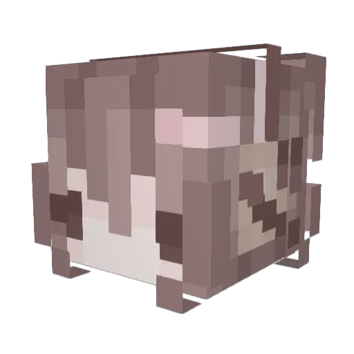 Oat_Milkk Minecraft avatar head, 3D render