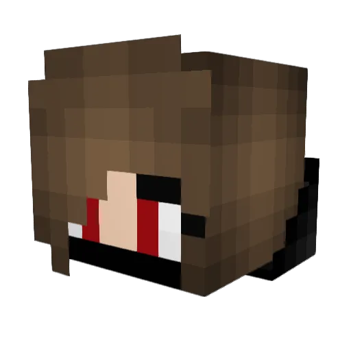 Oatmealena Minecraft avatar head, 3D render