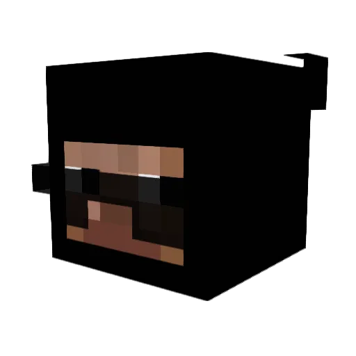 Oatmealgremlin Minecraft avatar head, 3D render