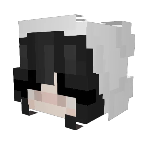 Oats_06 Minecraft avatar head, 3D render