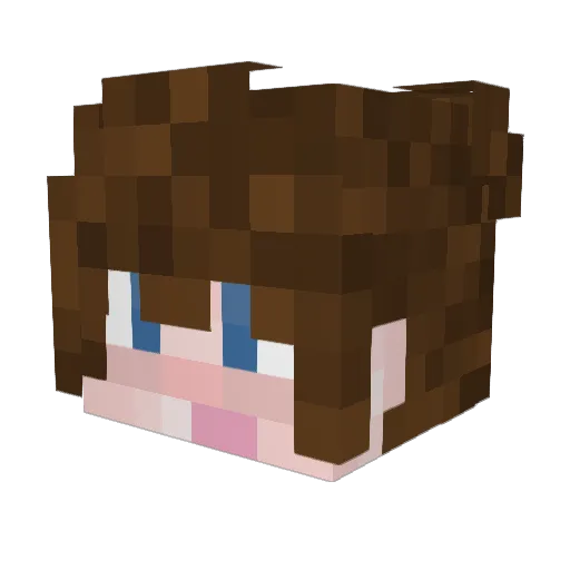 Oatt_ Minecraft avatar head, 3D render
