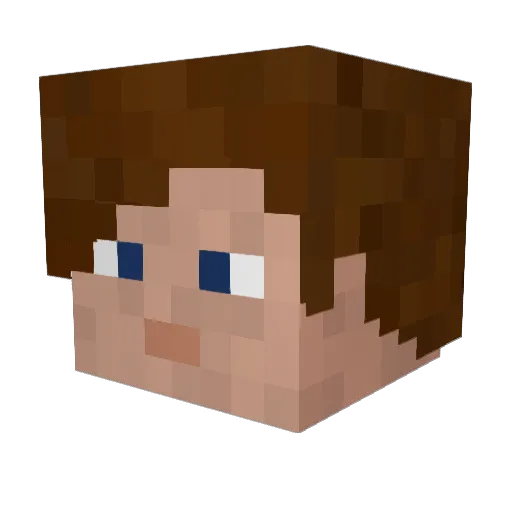 Oaxbert Minecraft avatar head, 3D render