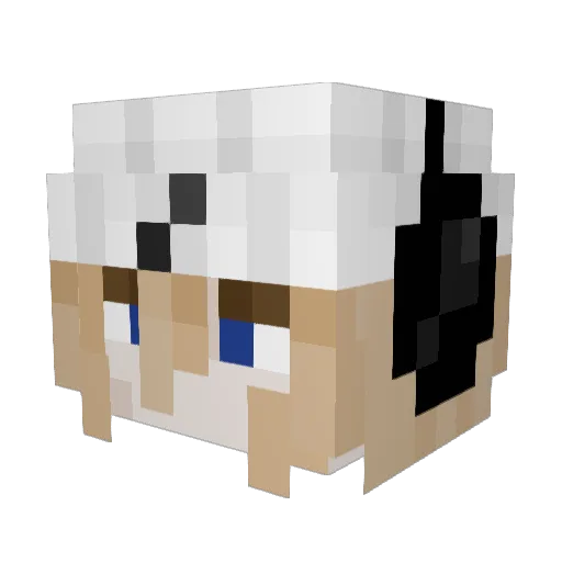ObamaBeautyCare Minecraft avatar head, 3D render