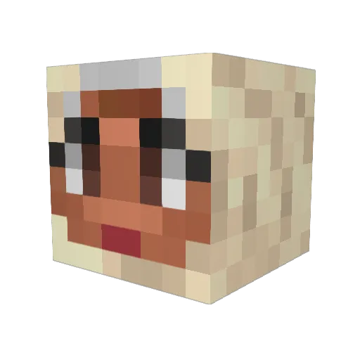 ObamaHealthCare Minecraft avatar head, 3D render
