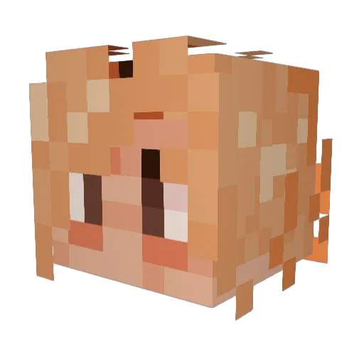 ObamaLover25 Minecraft avatar head, 3D render
