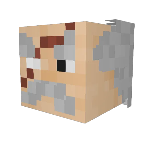 Obama_420_69 Minecraft avatar head, 3D render