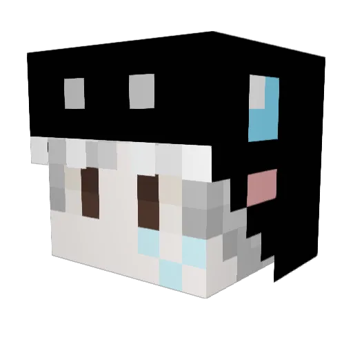 Obama_Jokes Minecraft avatar head, 3D render