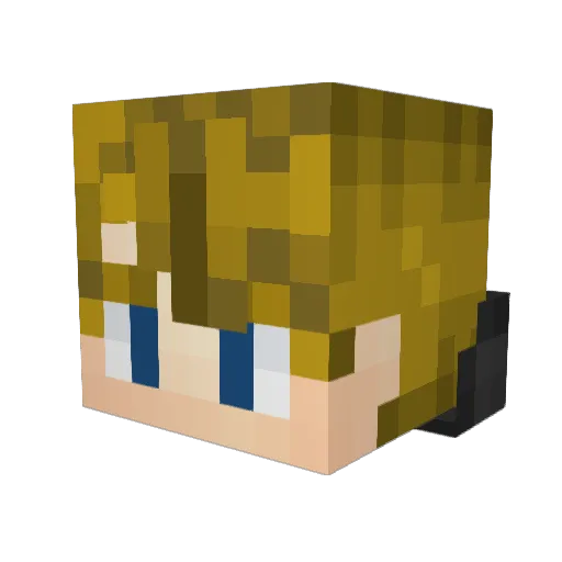 Obamaisallama Minecraft avatar head, 3D render