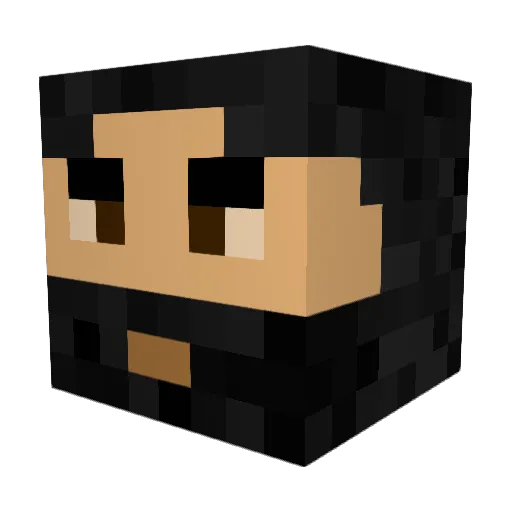 Obdachloser3000 Minecraft avatar head, 3D render