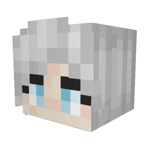 Obediently_otpus Minecraft avatar head, 3D render
