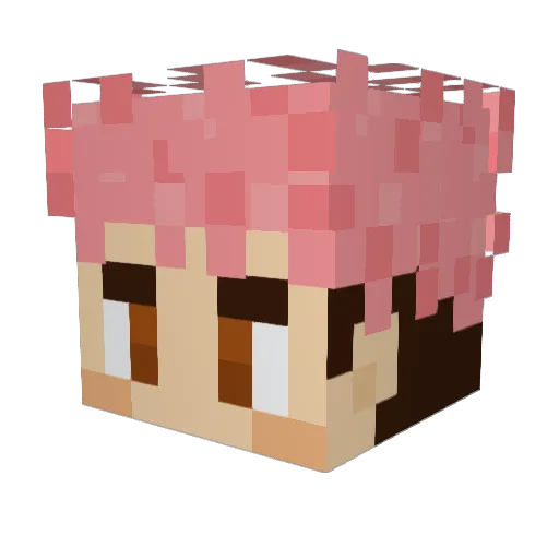 Obee_exe Minecraft avatar head, 3D render