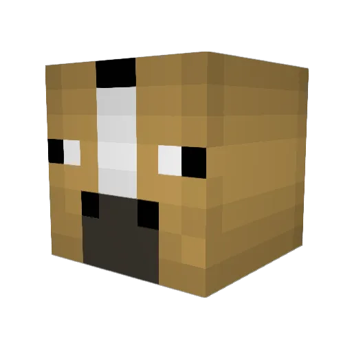 Obene Minecraft avatar head, 3D render