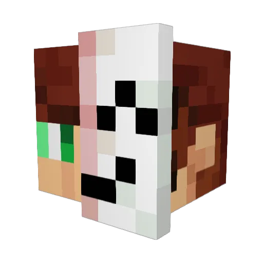 Oberon6666 Minecraft avatar head, 3D render