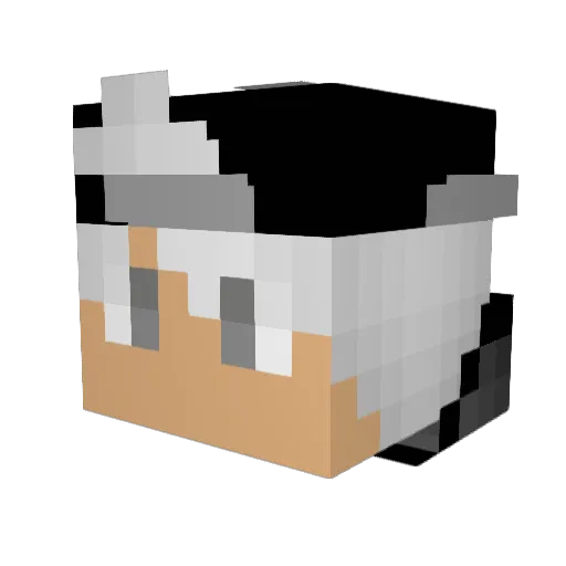 ObesitasKind Minecraft avatar head, 3D render