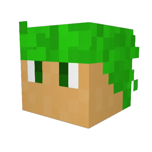 Obikwan03 Minecraft avatar head, 3D render