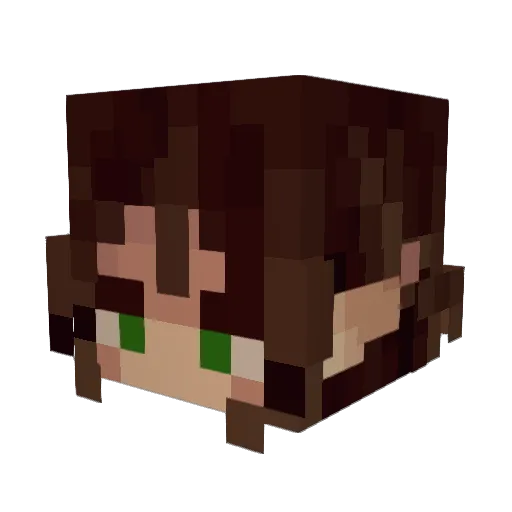 ObiwanCannoli23 Minecraft avatar head, 3D render