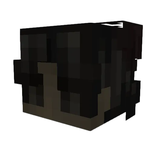Obl212 Minecraft avatar head, 3D render