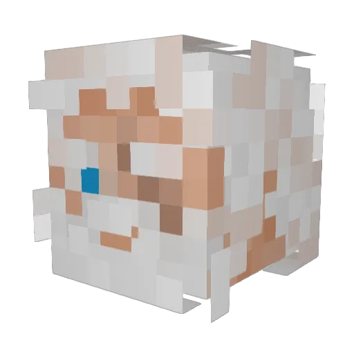 Oblaid Minecraft avatar head, 3D render