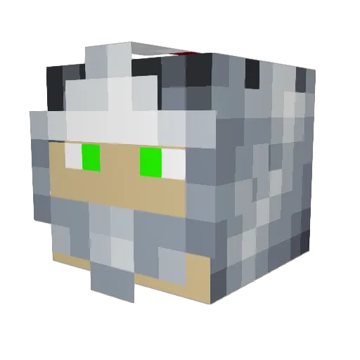 Oblivescences Minecraft avatar head, 3D render