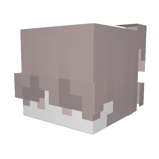 Oblivieux Minecraft avatar head, 3D render