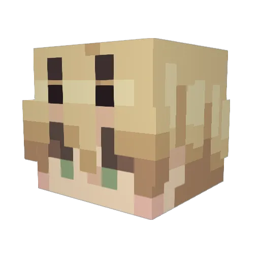 Oblivion____ Minecraft avatar head, 3D render