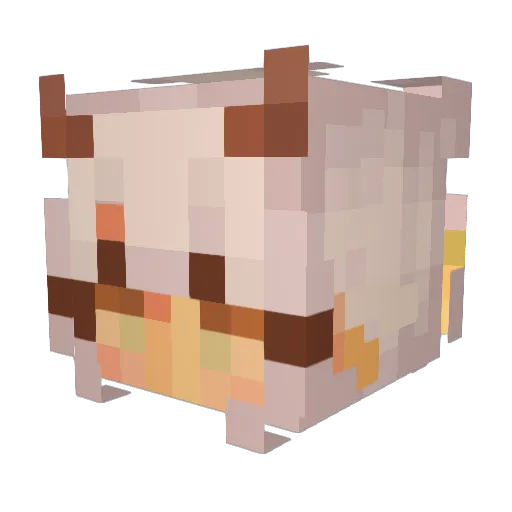 Oblivious4Life Minecraft avatar head, 3D render
