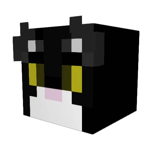 Oblivotrox Minecraft avatar head, 3D render
