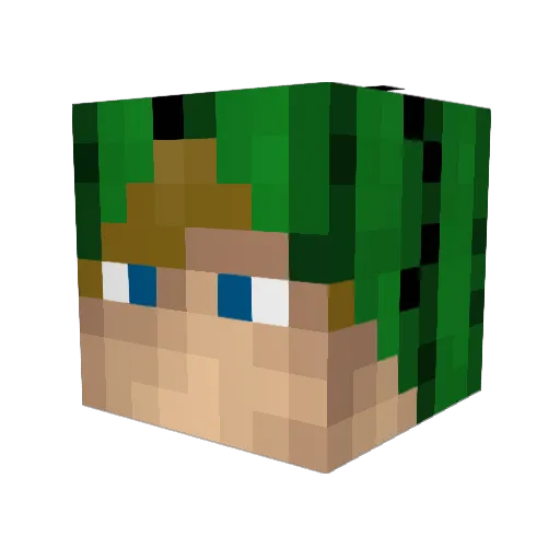 Obmau_ Minecraft avatar head, 3D render