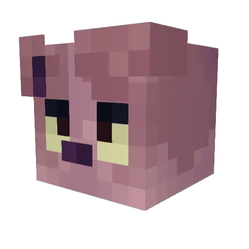 ObscurityRax Minecraft avatar head, 3D render
