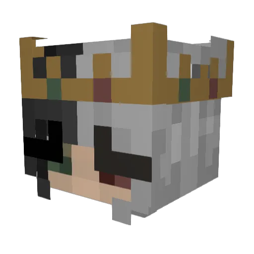 Obserwatorka Minecraft avatar head, 3D render