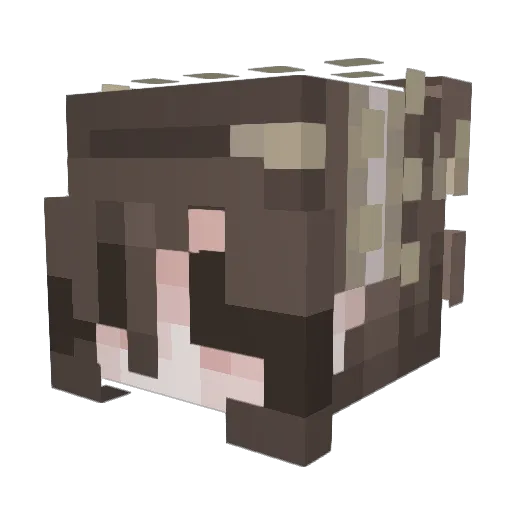 ObsessedKitty11 Minecraft avatar head, 3D render