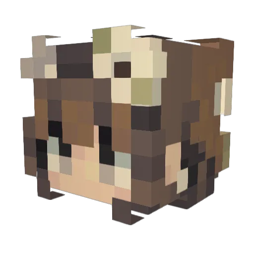 Obywatelka Minecraft avatar head, 3D render