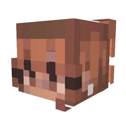 Ocapentixz Minecraft avatar head, 3D render