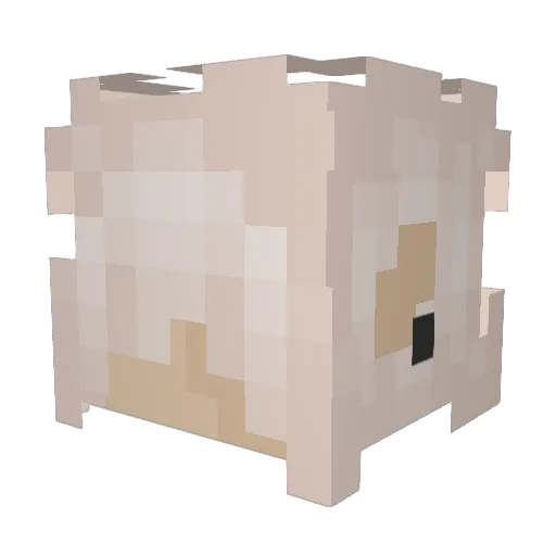 Ocatstar Minecraft avatar head, 3D render