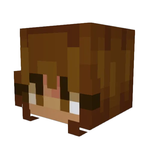 Ocaylle Minecraft avatar head, 3D render